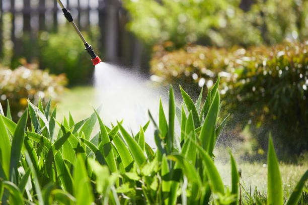 24/7 Emergency Fumigation Services experts in Suffern, NY