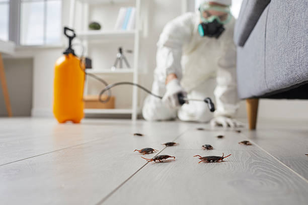 Trusted Cockroach Control service in Suffern, NY - Nex Pest Control